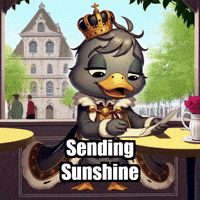 Travel Adventure GIF by sirduckbeth
