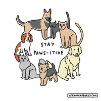 cats dogs GIF