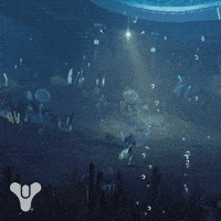 Destiny 2 Ghosts GIF by DestinyTheGame