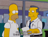 homer simpson episode 3 GIF
