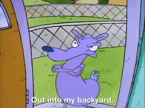 rockos modern life nicksplat GIF