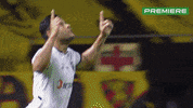 Serie A Serieb GIF by Canal Premiere