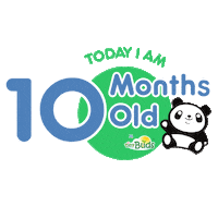 Panda Love Sticker by Tinybuds Baby
