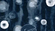 Dance Animation GIF by Anna B Savage