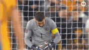 Womens Football Sport GIF by Football Australia