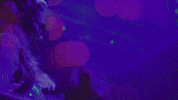 paris hilton dancing GIF by HOLLYWOOD LOVE STORY
