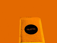 pellegalattica  GIF