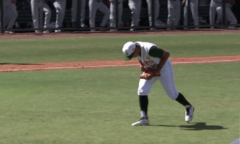 screaming lets go GIF by Miami Hurricanes