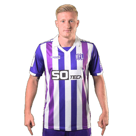 Partner Sponsor Sticker by VfLOsnabrueck