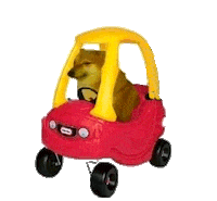 Cheemsmeme Sticker by Revicheems