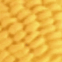 Corn Epix GIF