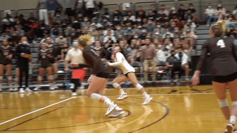 Celebration Dancing GIF by Brown Volleyball