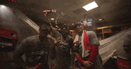 Celebrate World Series GIF by MLB