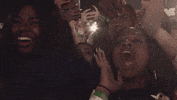 fangirl beychella GIF
