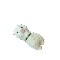 Llama Pablo Sticker by 1. Roundnetclub Opladen