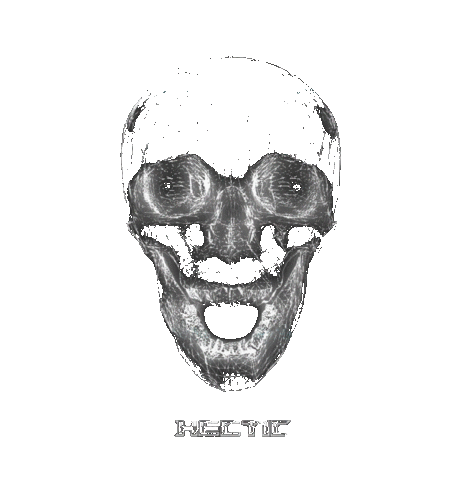 HecticEvents dance music 3d monster Sticker