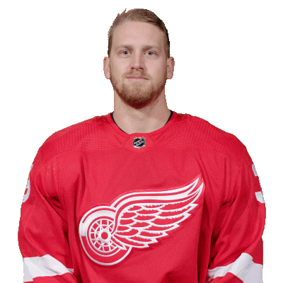 Ice Hockey Thumbs Up Sticker by Detroit Red Wings