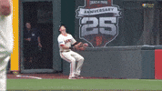 San Francisco Giants Wow GIF by MLB