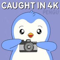 I Got You Smile GIF by Pudgy Penguins