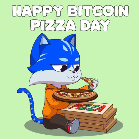 Happy Cat GIF by Toshithecat