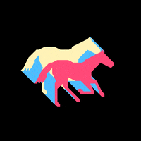 Horse Gallop GIF by Trevor Anderson