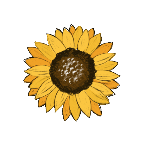 lottywf nature flower sun yellow Sticker