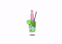 duannemarquesbruno animation summer illustration enjoy GIF