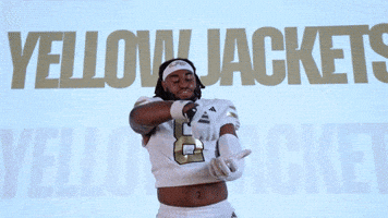 Georgia Tech Football Sport GIF by Georgia Tech Yellow Jackets