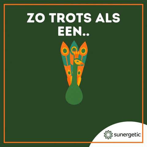 Suner GIF by Sunergetic