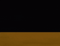 Bear Stalking GIF by Bobo Memes