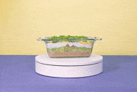 themjeans GIF by Jason Stewart
