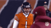 2018 Nfl Football GIF by NFL