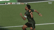 goal celebration corner flag GIF by Houston Dynamo