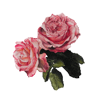 Flower Sticker
