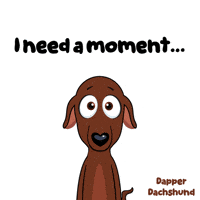 Dog Omg GIF by VeeFriends