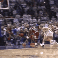 Chicago Bulls Sport GIF by NBA