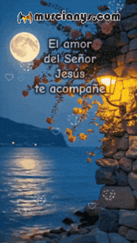 Mar El Amor GIF by Murcianys LLC