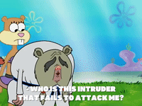 season 8 bubble troubles GIF by SpongeBob SquarePants