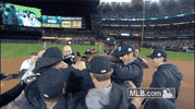 new york yankees GIF by MLB
