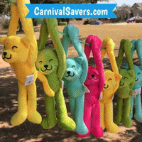 CarnivalSavers carnival savers carnivalsaverscom carnival prizes carnivalprizes GIF