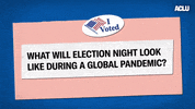 Voting Election 2020 GIF by ACLU