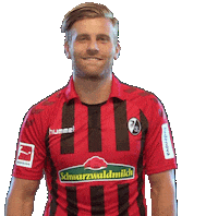 Sc Freiburg No Sticker by SCF