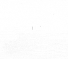 black and white illustration GIF by Eno Swinnen