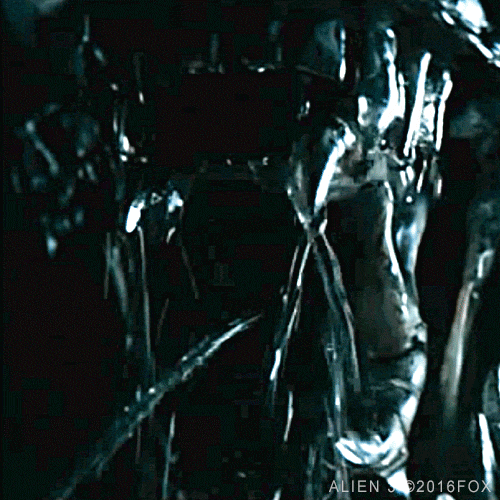 sigourney weaver xenomorph GIF by foxhorror