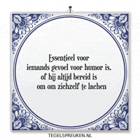 Humor Troost GIF by Tegelspreuken.nl