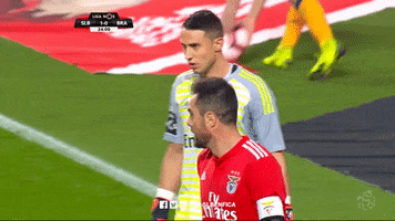 high five sl benfica GIF by Sport Lisboa e Benfica