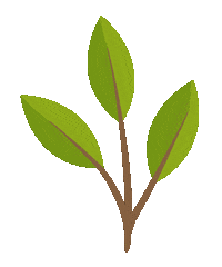 Plant Leaf Sticker by Kew Gardens