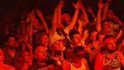 Bonnaroo 2016 GIF by Bonnaroo Music and Arts Festival