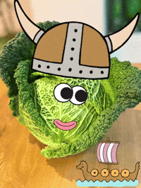 Vikings Wikinger GIF