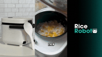 Mango Sticky Rice At Home | Rice Robot